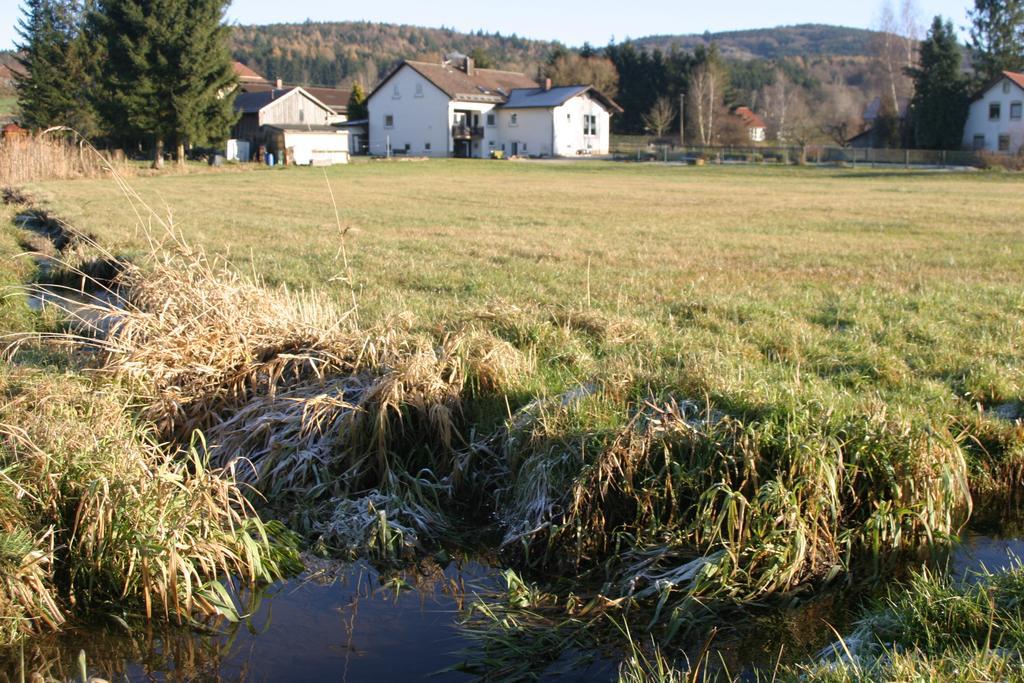 Haus Am Treffenbach Διαμέρισμα Waldmünchen Εξωτερικό φωτογραφία